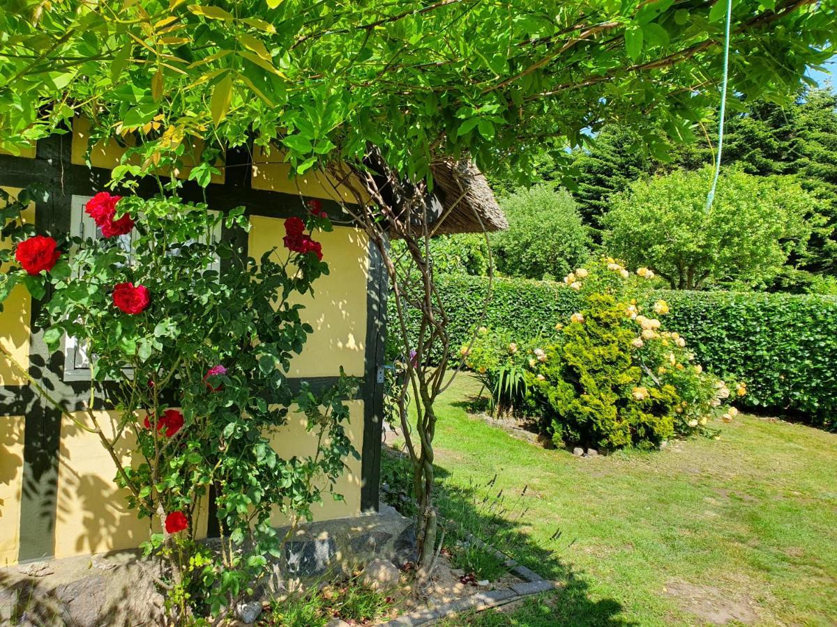 Zara'S B&B Horsens Exterior foto